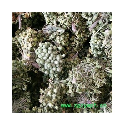 三七花 三年花一般货 产地 云南省