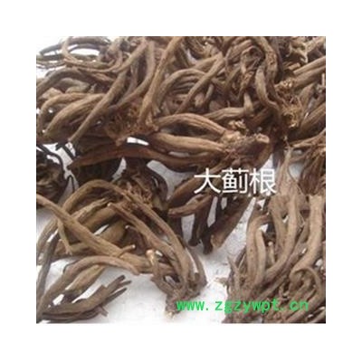 大蓟根 产地 安徽省