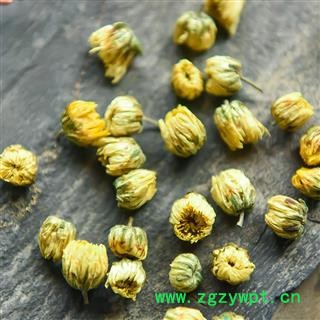 胎菊 花茶 滋补养生 甘菊 小白菊 小汤黄 花草茶散装图2