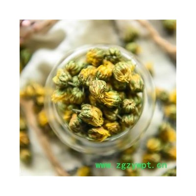 胎菊 花茶 滋补养生 甘菊 小白菊 小汤黄 花草茶散装