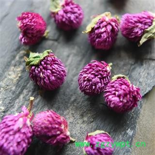 千日红花 千日红干花可配茉莉花柠檬玫瑰花茶图2