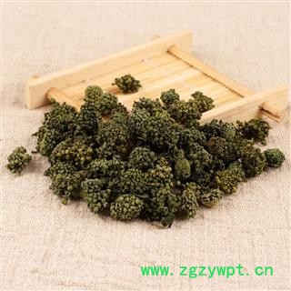 三七花 田七花  文山三七花图3