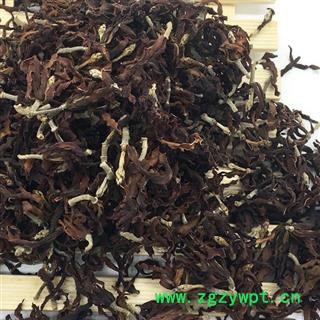 圣草康园玉兰花新货颜色好图2