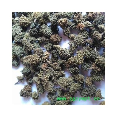 三七花 统 产地 云南省文山壮族苗族自治州 批发各种中药材 花茶 矿石