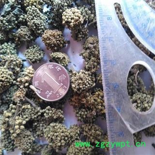 三七花 统 产地 云南省文山壮族苗族自治州 批发各种中药材 花茶 矿石图4