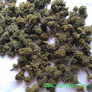 三七花 统 产地 云南省文山壮族苗族自治州 批发各种中药材 花茶 矿石图2