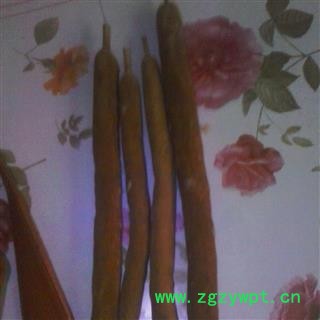 圣草康园中药材蒲棒花粉 蒲黄花柱、水烛 香蒲 蒲草 蒲棒 水蜡烛 水烛 香蒲棒图2