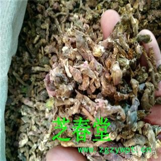 产地直销无硫正品 款冬花 九九花 艾冬花 冬花各种中药材批发零售图3