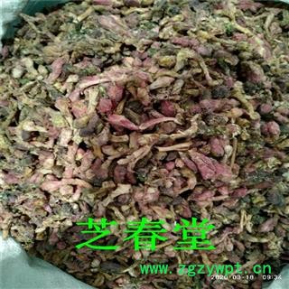 产地直销无硫正品 款冬花 九九花 艾冬花 冬花各种中药材批发零售图4