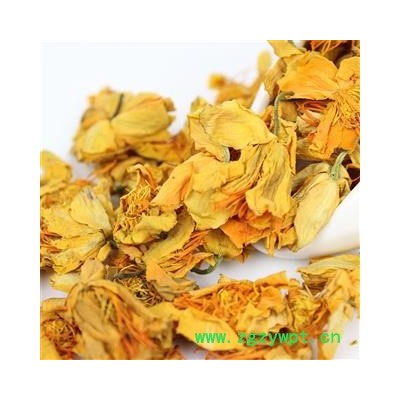 金莲花茶批发 纯金花茶 金莲花 天然花草茶 支持验货