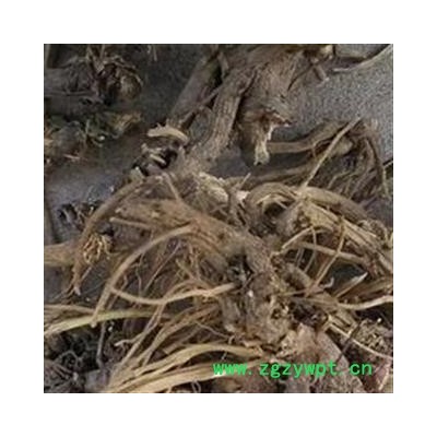 吉康药业中药材紫锥菊 紫锥菊根