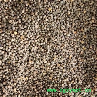 野菊花 野菊花统货 产地 湖北省图2