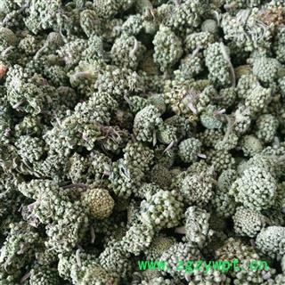 三七花 三年精选花 产地 云南省图2