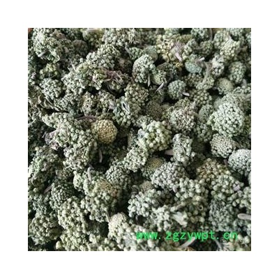 三七花 三年精选花 产地 云南省