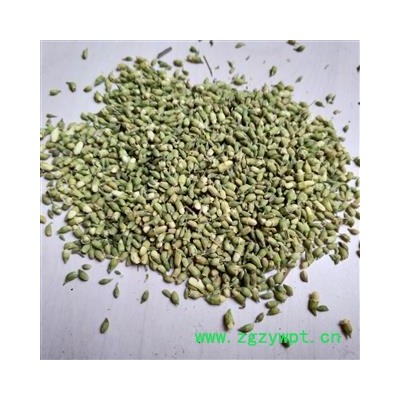 槐米 色青选货 产地 山东省