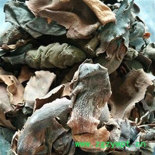 厚朴花 统 产地 四川省图2