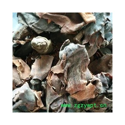 厚朴花 统 产地 四川省