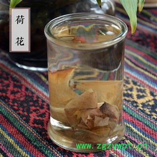 荷叶荷花 滋补养生 莲花 水芙蓉 花草茶 散装图4