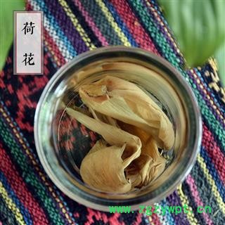 荷叶荷花 滋补养生 莲花 水芙蓉 花草茶 散装图3