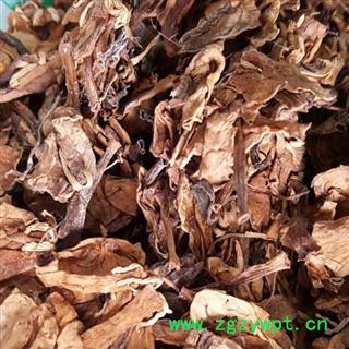 圣草康园 山栀子鸡蛋花 大花栀子栀子花 鸡蛋花 缅栀子 擂捶花 大季花图3