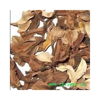 圣草康园 山栀子鸡蛋花 大花栀子栀子花 鸡蛋花 缅栀子 擂捶花 大季花