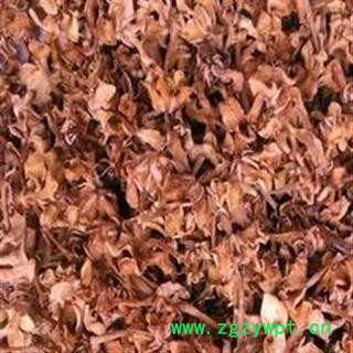 圣草康园 山栀子鸡蛋花 大花栀子栀子花 鸡蛋花 缅栀子 擂捶花 大季花图2