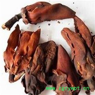 圣草康园厚朴花厚朴花新货图2