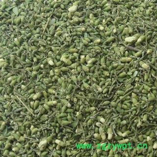 圣草康园槐米 新货 无污染图2