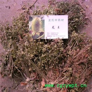 点地梅 统货 产地 四川省成都市双流县图3