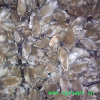 辛夷花 辛夷大桃选货 地道药 放心药 假一陪十  产地 河南省图2