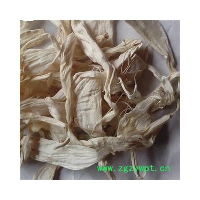 吉康药业玉簪花 白玉簪花 白鹤花