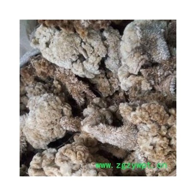 吉康药业鸡冠花 白鸡冠花 鸡冠花 产地河北