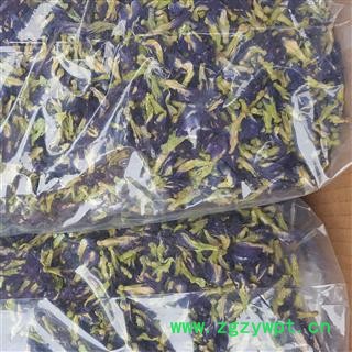 吉康药业花茶 蝴蝶花 蓝蝴蝶 蝶豆花新货实物拍照颜色漂亮图3