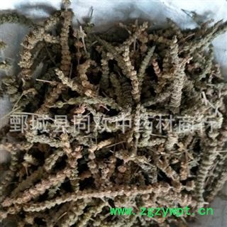 【颜色好荆芥穗】@【同欢药材】中药材批发供应  规格齐全 量大从优  产地 河北省图2