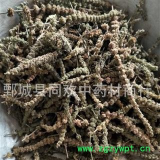 【颜色好荆芥穗】@【同欢药材】中药材批发供应  规格齐全 量大从优  产地 河北省图3