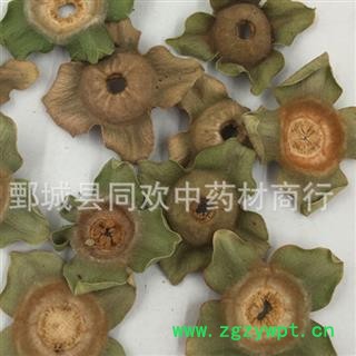 【柿蒂】@【同欢药材】中药材批发供应  规格齐全 量大从优 产地 山东省图2