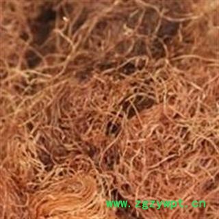 玉米须 选货  产地 河南省图2