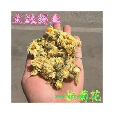 杭菊花 杭白菊  杭菊  无面 散开 产地 浙江省杭州市市辖区