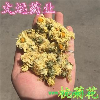 杭菊花 杭白菊  杭菊  无面 散开 产地 浙江省杭州市市辖区图3