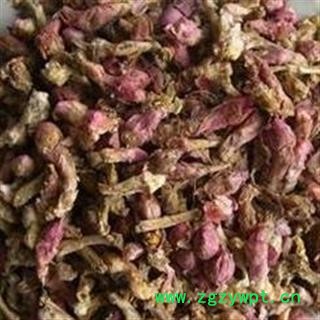 款冬花 冬花  净货 产地 甘肃省图2