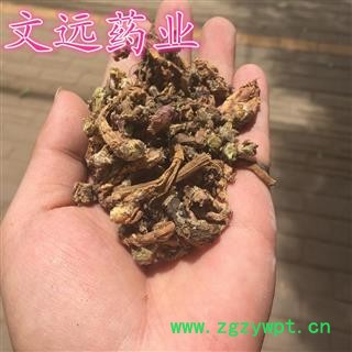 款冬花 冬花  净货 产地 甘肃省图3