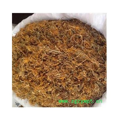 金银花   山银花 湖南  开花