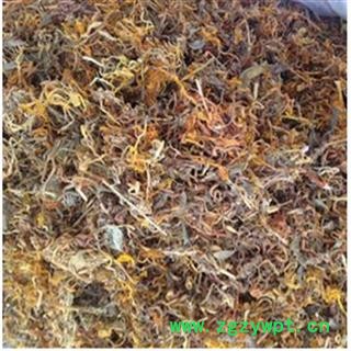 金银花 山银花 湖南 开花图2