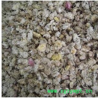 菊花 亳菊 产地 安徽省亳州市  产地直销图3