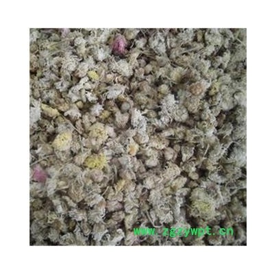 菊花 亳菊 产地 安徽省亳州市  产地直销