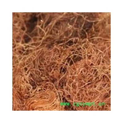 玉米须 8.8元每公斤 季节促销 河南限量销售可以机切（供药店）