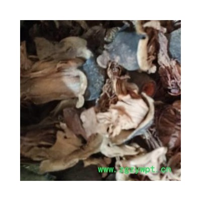 木棉花 统货 产地 新疆维吾尔自治区