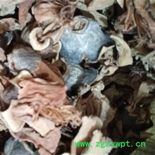 木棉花 统货 产地 新疆维吾尔自治区图2