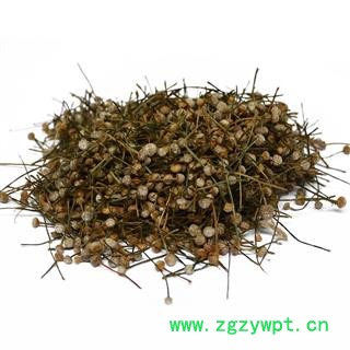 谷精草 统货 产地 河北省图3