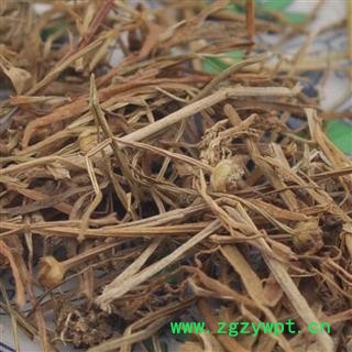 谷精草 统货 产地 河北省图2